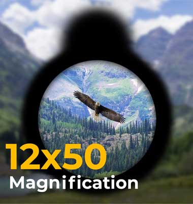 Best Monocular for Bird Watching with 12X Magnification